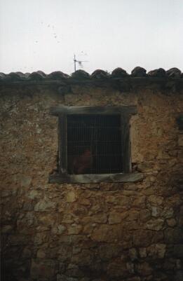 Poesía